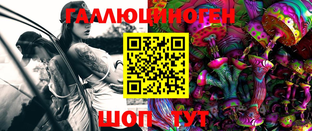 Галлюциногенные грибы Psilocybine cubensis  Галлюциногенные грибы мицелий  Вход с VPN  Сальск 