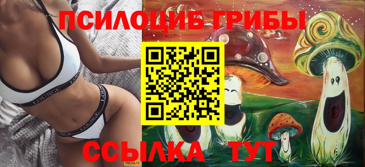 Псилоцибиновые грибы Psilocybine cubensis Сальск
